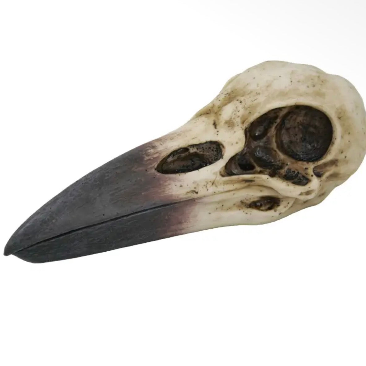 Raven Skull Box